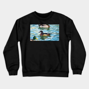 A Cute Wood Duck Turning Its Head While Swimming Crewneck Sweatshirt